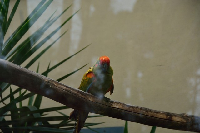 20150326 - Rome - 250